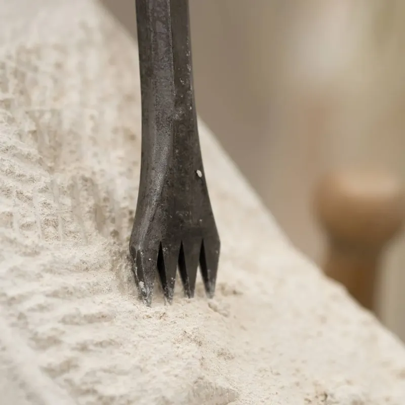 Gradine taille de pierre tendre