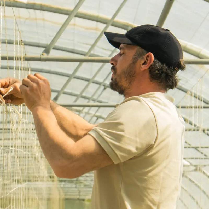 Casquette en canvas Carhartt